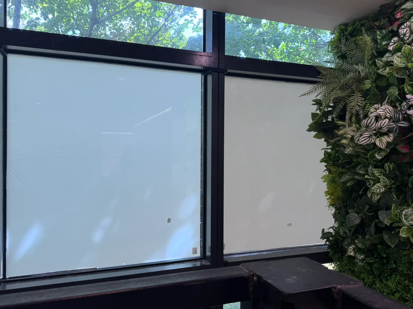 The same fully filmed window switched to privacy mode with a plain frost across both panes